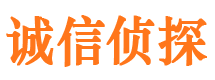 武定捉小三公司